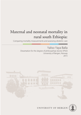 Maternal and Neonatal Mortality in Rural South Ethiopia: Comparing Mortality Measurements and Assessing Obstetric Care