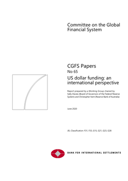 US Dollar Funding: an International Perspective