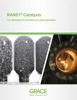 RANEY Brochure