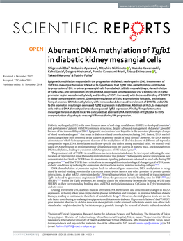 Aberrant DNA Methylation of Tgfb1 in Diabetic Kidney Mesangial Cells