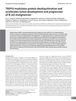 TRIP13 Modulates Protein Deubiquitination and Accelerates Tumor Development and Progression of B Cell Malignancies