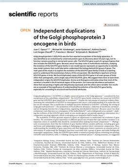 Independent Duplications of the Golgi Phosphoprotein 3 Oncogene in Birds Juan C