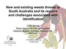 New and Existing Weeds Threats to South Australia and Its Regions and Challenges Associated with Identification