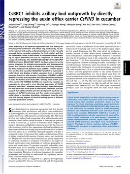 Csbrc1 Inhibits Axillary Bud Outgrowth by Directly Repressing the Auxin Efflux Carrier Cspin3 in Cucumber