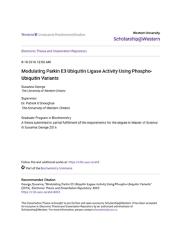 Modulating Parkin E3 Ubiquitin Ligase Activity Using Phospho-Ubiquitin Variants