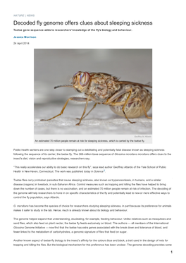 Decoded Fly Genome Offers Clues About Sleeping Sickness Tsetse Gene Sequence Adds to Researchers' Knowledge of the Fly's Biology and Behaviour