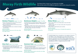 Moray Firth Wildlife the Moray Firth Is Home to a Rich Diversity of Wildlife