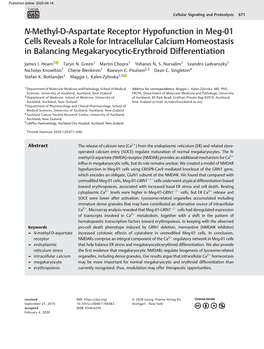 N-Methyl-D-Aspartate Receptor Hypofunction in Meg-01 Cells Reveals a Role for Intracellular Calcium Homeostasis in Balancing Megakaryocytic-Erythroid Differentiation