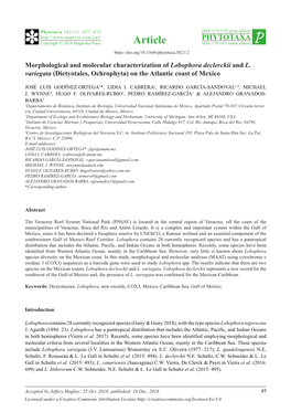 Morphological and Molecular Characterization of Lobophora Declerckii and L