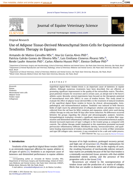Use of Adipose Tissue-Derived Mesenchymal Stem Cells for Experimental Tendinitis Therapy in Equines