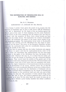 Distribution of Freshwater Eels in Sumatra and Borneo