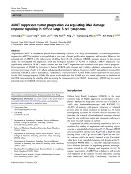 AMOT Suppresses Tumor Progression Via Regulating DNA Damage Response Signaling in Diffuse Large B-Cell Lymphoma