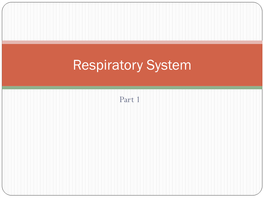 Introduction to the Respiratory System