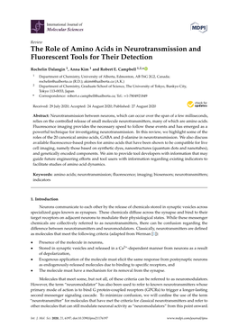 The Role of Amino Acids in Neurotransmission and Fluorescent Tools for Their Detection