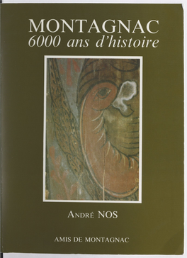 Montagnac. 6000 Ans D'histoire
