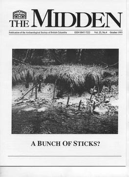 A Bunch of Sticks? the Midden A.S.B.C