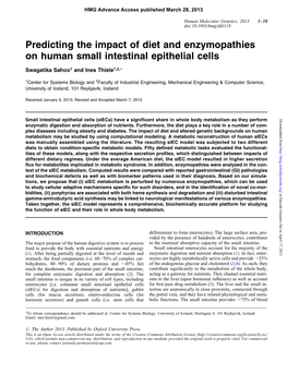 Predicting the Impact of Diet and Enzymopathies on Human Small Intestinal Epithelial Cells