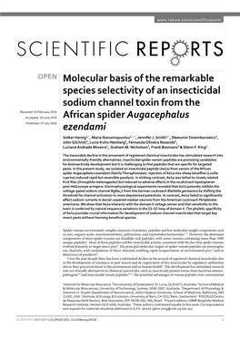 Molecular Basis of the Remarkable Species Selectivity of An
