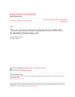 The Use of Monoclonal and Polyclonal Antibodies to Identify Escherichia Coli 