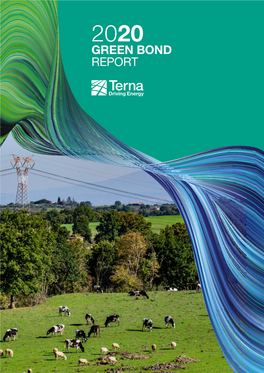 Green Bond Report 2020