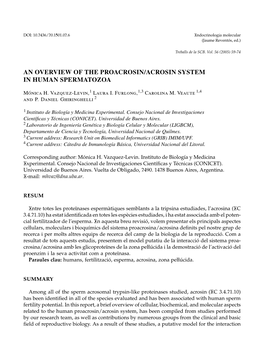 An Overview of the Proacrosin/Acrosin System in Human Spermatozoa