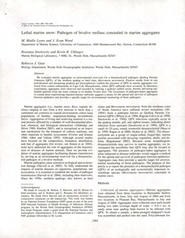 Lethal Marine Snow: Pathogen of Bivalve Mollusc Concealed in Marine Aggregates