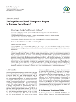 Deubiquitinases: Novel Therapeutic Targets in Immune Surveillance?