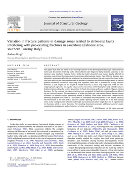 Variation in Fracture Patterns in Damage Zones Related to Strike-Slip