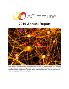 2019 Annual Report