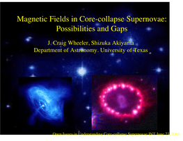 Magnetic Fields in Core-Collapse Supernovae: Possibilities and Gaps