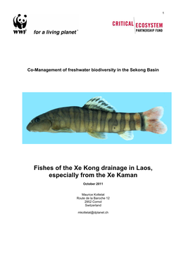 Fishes of the Xe Kong Drainage in Laos, Especially from the Xe Kaman