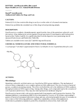 Baytril® (Enrofloxacin) Antibacterial Tablets for Dogs and Cats