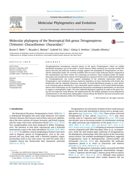 Molecular Phylogeny of the Neotropical Fish Genus