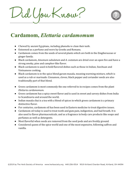 Cardamom, Elettaria Cardamomum