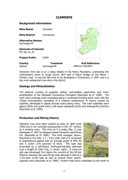 Summary Report for Historic Mine Sites in Ireland