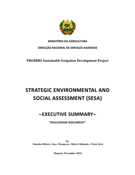 Strategic Environmental and Social Assessment (Sesa)