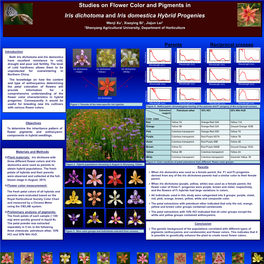 Studies on Flower Color and Pigments in Iris Dichotoma and Iris