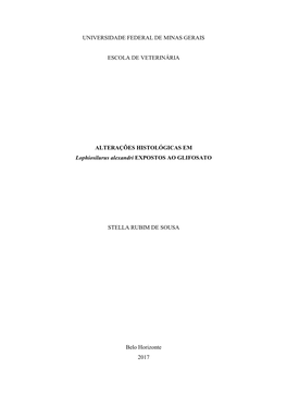 ALTERAÇÕES HISTOLÓGICAS EM Lophiosilurus Alexandri EXPOSTOS AO GLIFOSATO