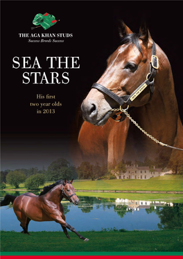 Sea the Stars