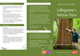 Lullingstone's Veteran Trees