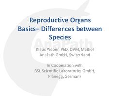 Reproductive Organs Basics– Differences Between Species