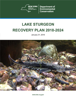 Lake Sturgeon Recovery Plan 2018-2024