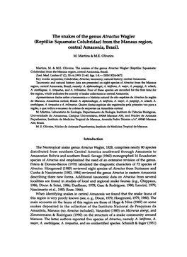 The Snakes of the Genus Atractus Wagler (Reptilia: Squamata: Colubridae) from the Manaus Region, Central Amazonia, Brazil