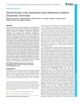 Cranial Kinesis in the Miniaturised Lizard Ablepharus Kitaibelii (Squamata: Scincidae) Stephan Handschuh1,*, Nikolay Natchev2, Stefan Kummer1, Christian J