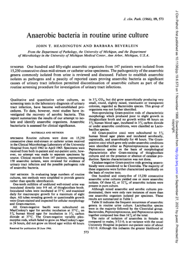 Anaerobic Bacteria in Routine Urine Culture