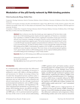 Modulation of the P53 Family Network by RNA-Binding Proteins