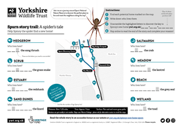 Spurn Story Trail