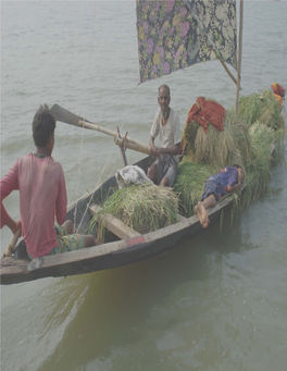 Report on Essential Services of Haor Areas and Way Forward