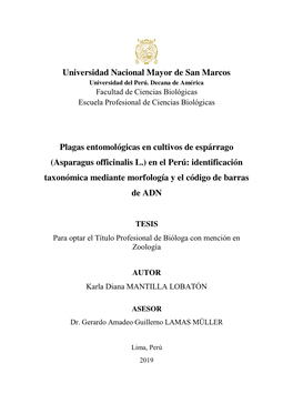 Universidad Nacional Mayor De San Marcos Plagas Entomológicas En