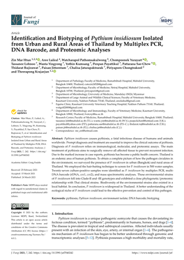 Identification and Biotyping of Pythium Insidiosum Isolated From